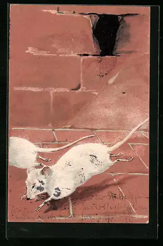 AK Weisse Mäuse rennen von einem Mauerloch weg