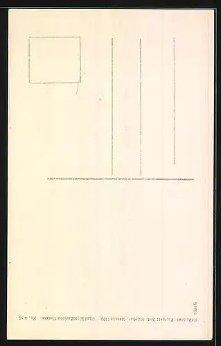 AK S. Leonardo /Val di Passiria, Panorama