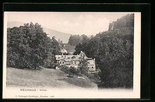 AK Neuhaus i. Schles., Ortsansicht mit Bäumen