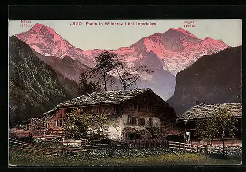 AK Wilderswil bei Interlaken, Ansicht Haus mit Mönch und Jungfrau