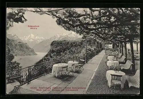 AK Seelisberg, Hotel Sonnenberg, Blick von der Terrasse auf Bristenstock