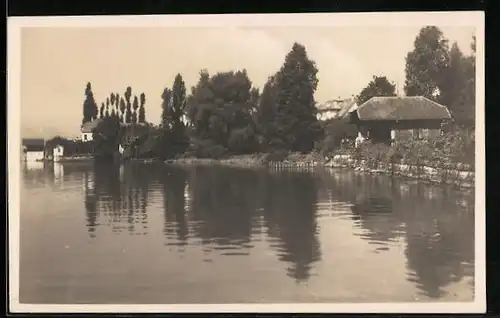 AK Männedorf, Blick auf See mit Bäumen