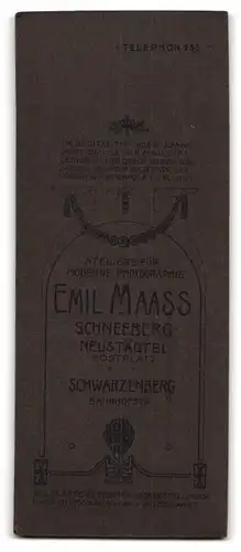 Fotografie Emil Maass, Schneeberg i. S., Neustädtel Postplatz, Junge Dame mit Hochsteckfrisur