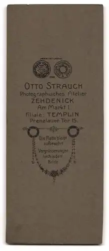 Fotografie Otto Strauch, Zehdenick, Stattlicher Herr mit Schnauzbart