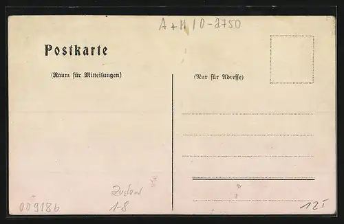 AK Braunschweig, Einzug des neuen Regenten Herzog Johann Albrecht zu Mecklenburg 1907