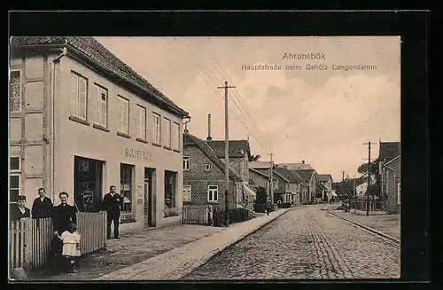 AK Ahrensbök, Hauptstrasse beim Gehölz Langendamm