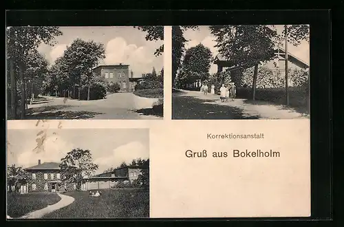 AK Bokelholm, Strassenpartie mit Flachgebäude, Anwesen mit Garten