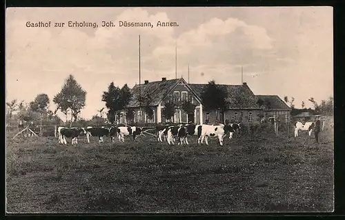 AK Annen / Delmenhorst, Gasthof zur Erholung, Gebäudeansicht hinter weidenden Kühen