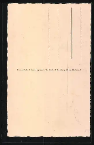 AK Ekenis i. Angeln, Gasthäuser von Aug. Brix, A. Klinker und W. Thomsen