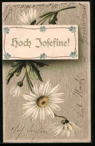 AK Hoch Josefine, Margeriten zum Namenstag