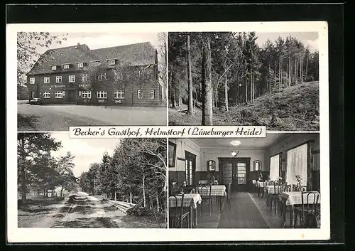 AK Helmstorf /Krs. Harburg, Becker`s Gasthof, Innenansicht, Waldpartie