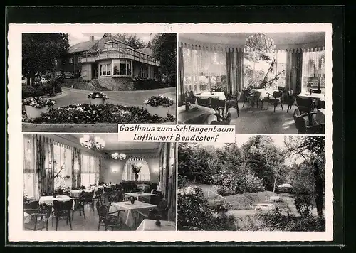 AK Bendestorf im Kleckerwadl, Hotel Haus Schlangenbaum, Innenansichten