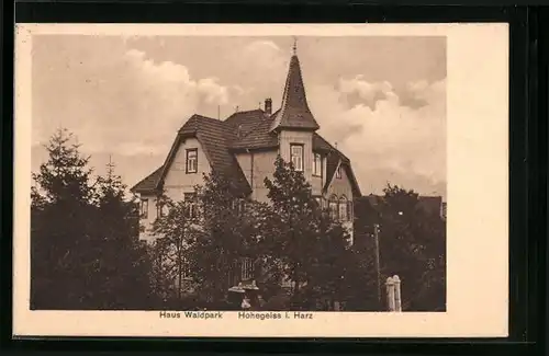 AK Hohegeiss i. Harz, Haus Waldpark