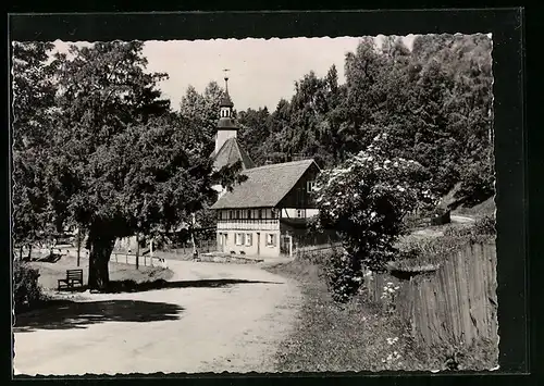 AK Lückendorf, 1000 jährige Eibe, Kirche