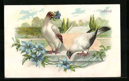 Lithographie Taubenpaar vor einer Freitreppe