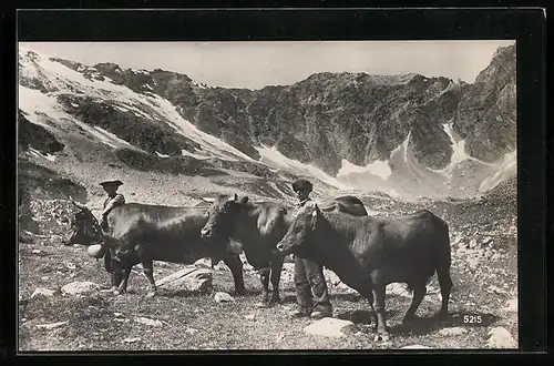 AK Kühe mit Hütern im Hochgebirge