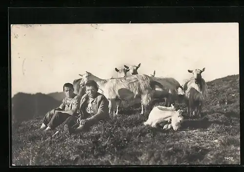 AK Ziegengruppe mit Hütejungen im Gebirge