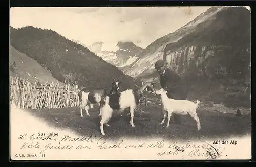 AK Alter Mann mit Ziegen in den Alpen