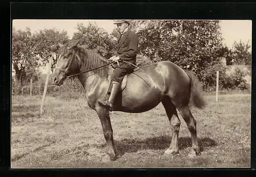 Foto-AK Reiter auf seinem Pferd