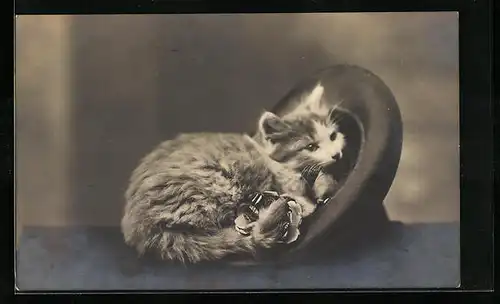 AK Kätzchen kuschelt sich in einen Zylinderhut