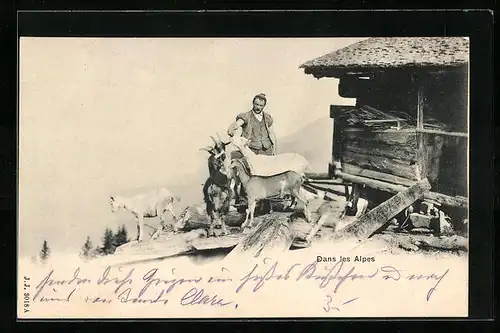 AK Bauer mit Ziegen in den Schweizer Alpen