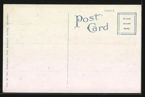 AK Milwaukee, Wis., Zwei Pumas hinter Gittern im Zoo