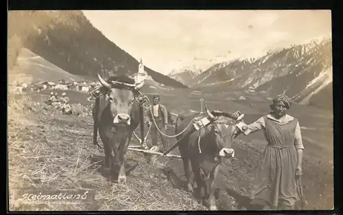 AK Bauernpaar beim Pflügen mit Ochsen-Gespann in der Schweiz