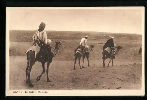 AK Ägypten, Beduinen reiten auf Kamelen durch die Wüste