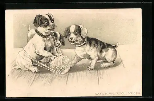 Präge-AK Zwei kleine Hunde spielen mit einem Wollknäuel