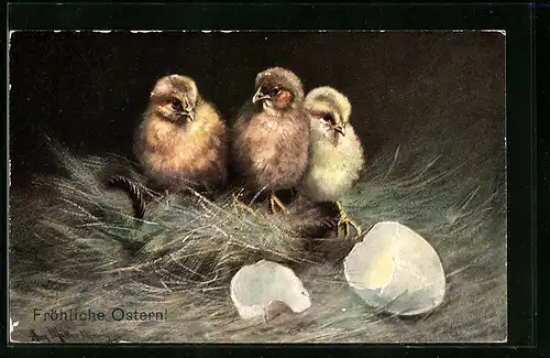 AK Osterküken schlüpfen aus Eierschale