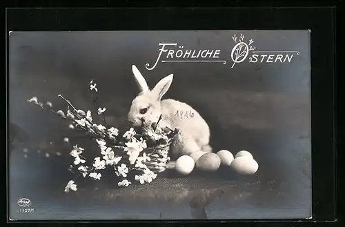 AK Osterhase mit Blüten und Eiern