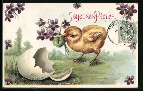 AK Osterküken mit Veilchen, Eierschale