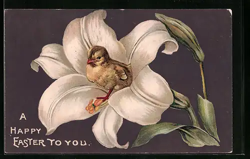 AK Osterküken in weisser Lilie