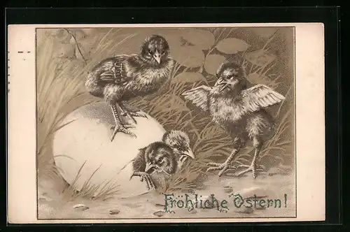 AK Osterküken schlüpfen aus dem Ei, Fröhliche Ostern
