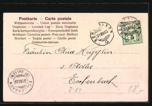 AK Schornsteinfeger sitzt auf Glücksschwein