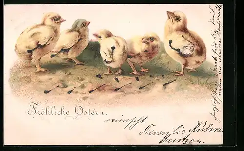 AK Osterküken wünschen Fröhliche Ostern