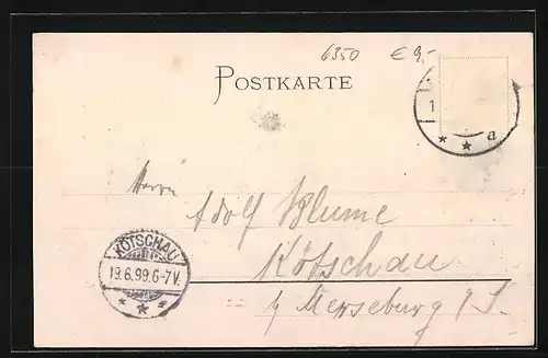 AK Bad-Nauheim, Totalansicht