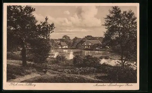 AK Munster /Lüneburger Heide, Blick vom Süllberg