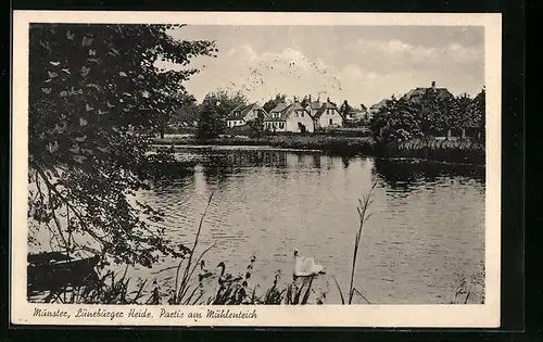 AK Munster /Lüneburger Heide, Partie am Mühlenteich