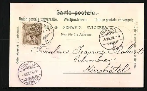 Lithographie Zürich, Landesmuseum, Promenade, Gemen-Denkmal