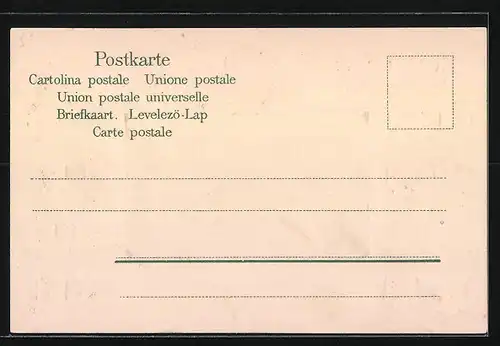 Passepartout-Lithographie Nyon, Vue générale, Wappen der Kantone