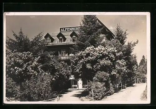 AK Wengen, Hotel Alpenruhe mit Park