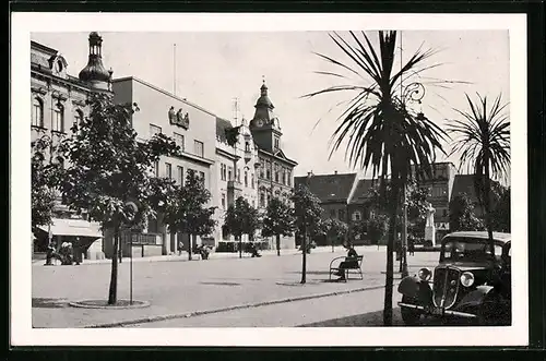 AK Benesov, Namesti, Palmen