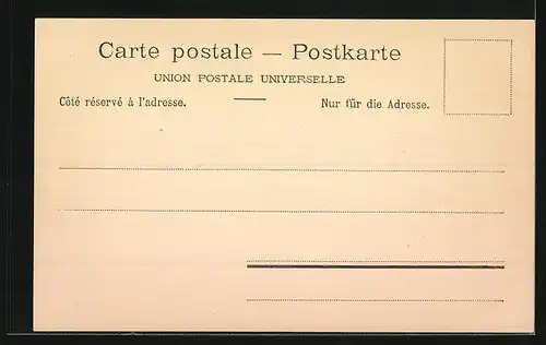 AK Schaffhausen, Teilansicht mit Brücke