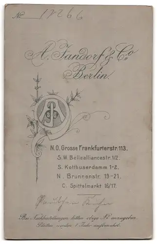 Fotografie A. Jandorf & Co., Berlin, Grosse Frankfurterstr. 113, Bursche im Anzug