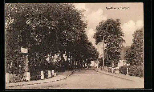 AK Satrup, Strassenpartie mit Bäumen
