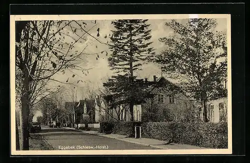 AK Eggebek /Schl.-Holst., Strassenpartie mit Villen