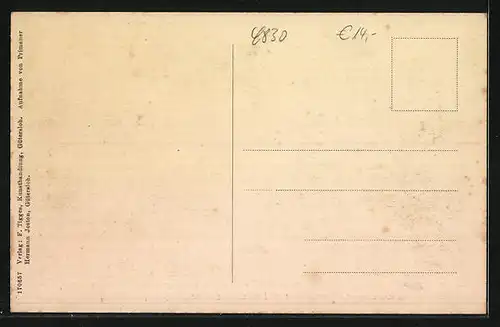 AK Gütersloh, Gymnasiasten holen Holz zum Oktoberfeuer 1913