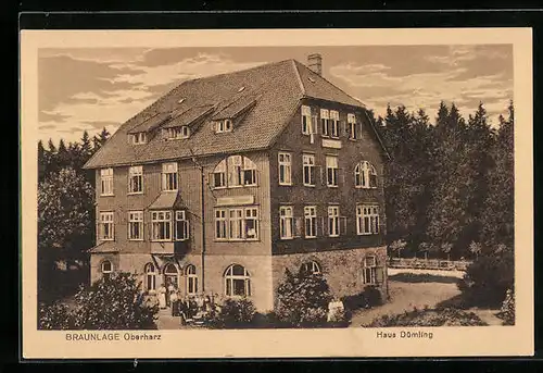 AK Braunlage /Oberharz, Hotel Haus Dümling
