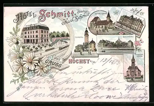 Lithographie Frankfurt-Höchst, Hotel Schmitt, Schloss, Kath. Kirche, Bolongaro, Realprogymnasium